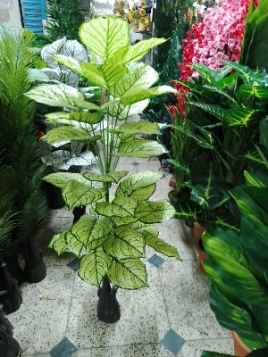Picture of Artificial Plastic Plant - free delivery