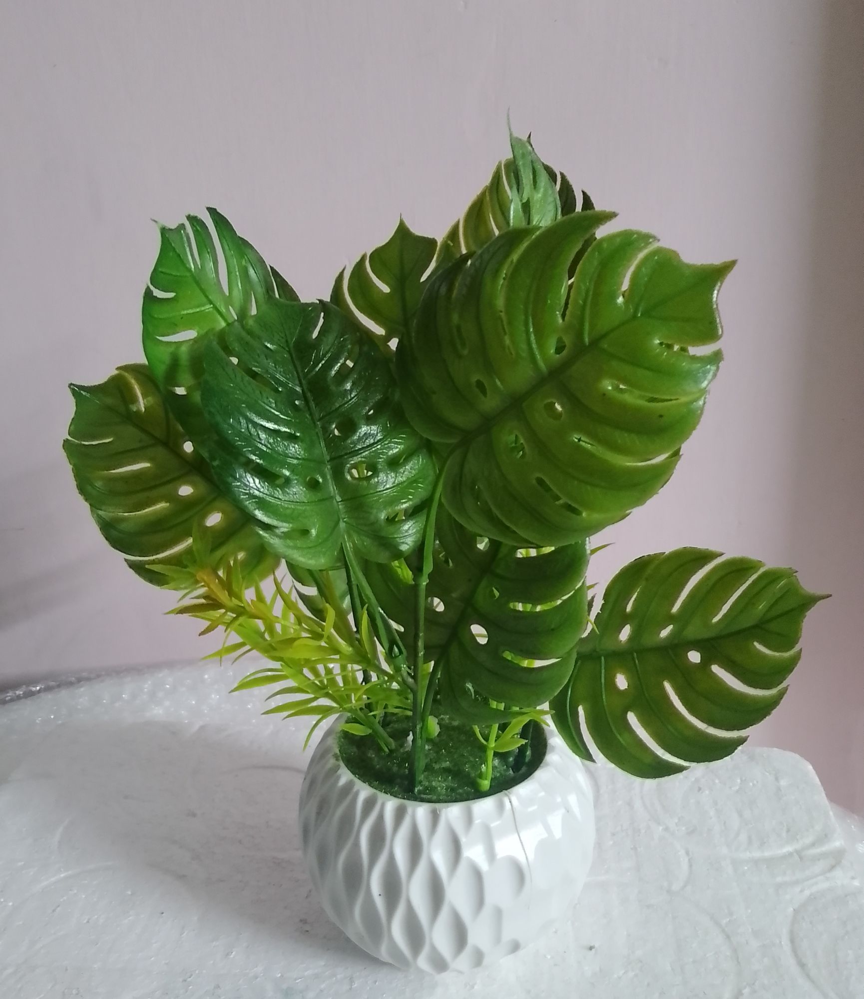 Picture of monstera artificial plan with tob