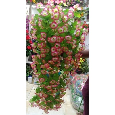 Picture of Artificial Plastic Plant- Hanging Flower - Home Decoration Item - Home Decoration Item