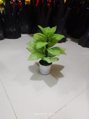 Picture of Artificial Plastic Plant-(1 pec only)