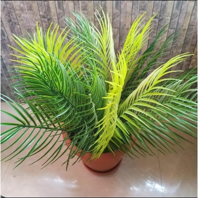 Picture of Artificial Plastic Plant Tree  -With Tub Palm Trees 22 Inc - Home Decoration Item