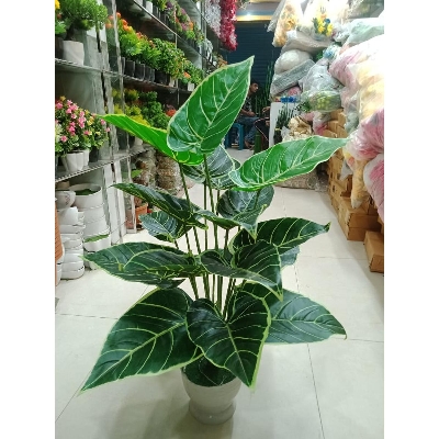 Picture of Artificial Plastic Plant Tree - 2