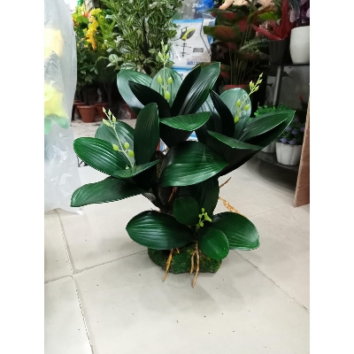 Picture of Artificial Plastic Plant Tree -