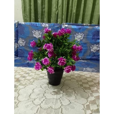 Picture of Artificial Plastic Plant Tree -1 - Home Decoration Item