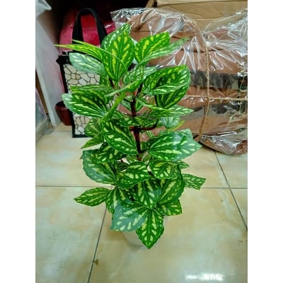 Picture of Plastic Artificial Flower - 11 - Home Decoration Item - Home Decoration Item