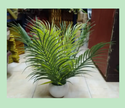 Picture of Artificial Plastic Palm Plant Tree