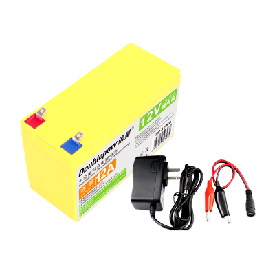 Picture of Doublepow 12V 12Ah Lithium ion Battery for Energy Storage (Solar- UPS) (If used in solar system must have solar controller) with 1 Piece AC-DC Adapter - 1 Piece ( Green )