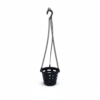 Picture of 6 Inch Orchid Planter - Perfect for Your Orchids in Bangladesh