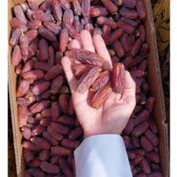 Picture of Mabroom dates/ Morium khejur 250g