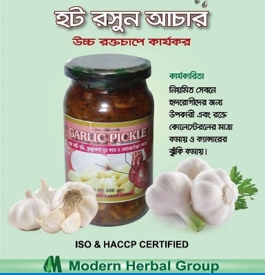 Picture of Garlic Picckle 400 gm Modern Herbal Roshuner Acher