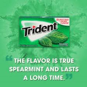 Picture of Trident Spearmint Flavor Sugar Freegmum X 14 Softgmum