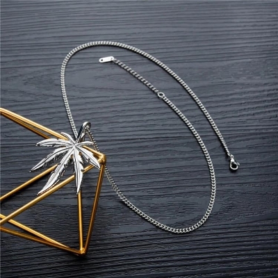 Picture of New Stainless Steel Stylish Chain with Locket For Men's