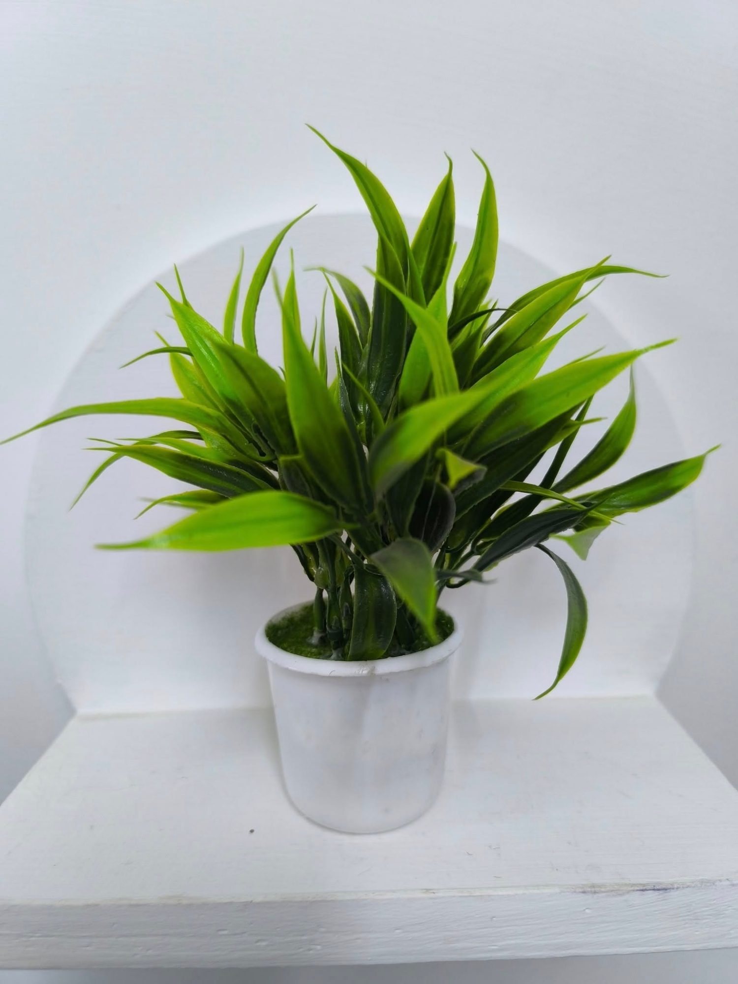 Picture of artificial flowers plan with tob