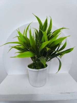 Picture of artificial flowers plan with tob