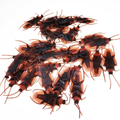 Picture of Simulation Plastic Cockroach Toy Realistic Insect Prank Funny Toys