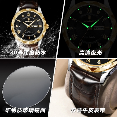 Picture of Luxury Poedagar Green Sunray Dial Watch with Day and Date Display