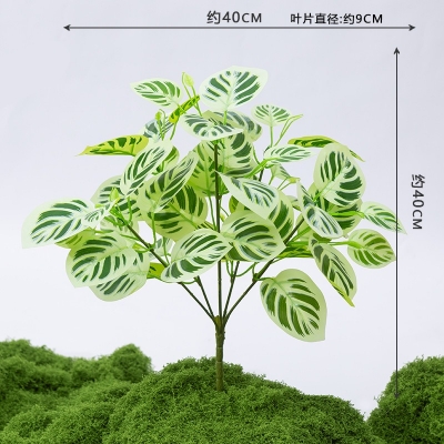 Picture of Plants for Home Office Desk Farmhouse Room Decor