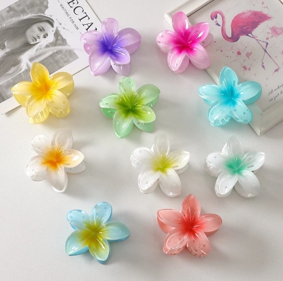 Picture of 4 pcs Flower Hair Clip  tourist Vacation Hair Clip for girl - Multicolor
