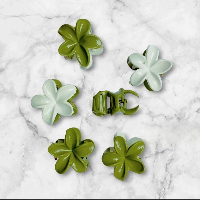 Picture of 10 pcs Flower Hair Clip  tourist Vacation Hair Clip for girl - Multicolor