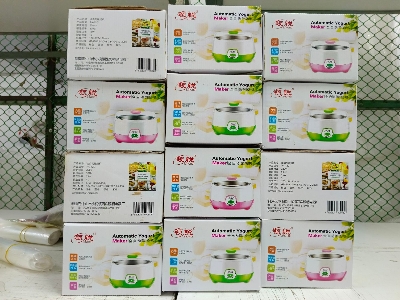 Picture of Automatic Yogurt (Doi) Maker
