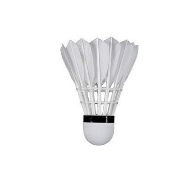 Picture of White Badminton Feather Cock - 2pc White