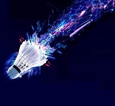 Picture of Badminton Feather Shuttlecock 12 Ps White