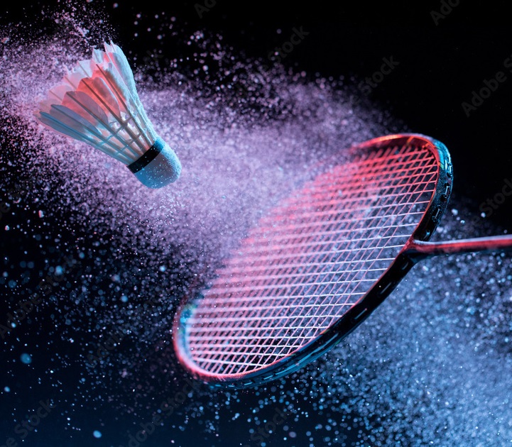 Picture of Badminton Feather Shuttlecock 12 Ps White