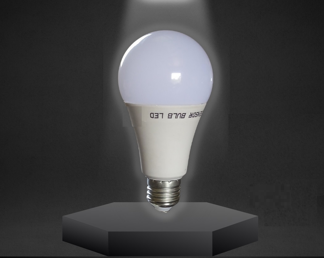 Picture of DC 12 Volt 5 Watt Solar Led Light White