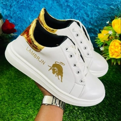 Picture of Stlysh Running Sports Sneakers Casual Lace-up Shoes Winter and Summer Men's Shoes