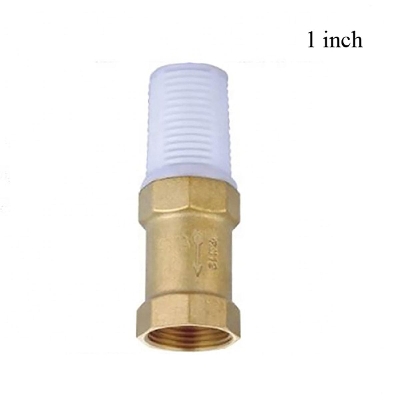 Picture of 1'' Brass Foot Check Valve Non Return Plastic Filter for Pump - Brass