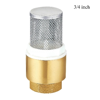 Picture of 3/4'' Brass Foot Check Valve Non Return with Stainless Strainer for Pump - Brass