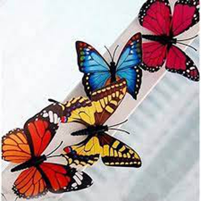 Picture of Multicolor Butter Fly Wall Sticker Plastic Made - 4pcs - Multicolor