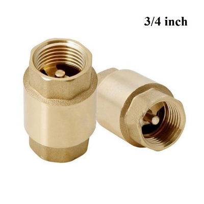 Picture of 3/4 inch Brass Threaded Spring Loaded Check Valve - Brass