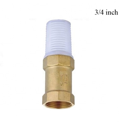 Picture of 3/4 inch Brass Vertical Foot Check Valve With Plastic Filter for Water Pump - Brass