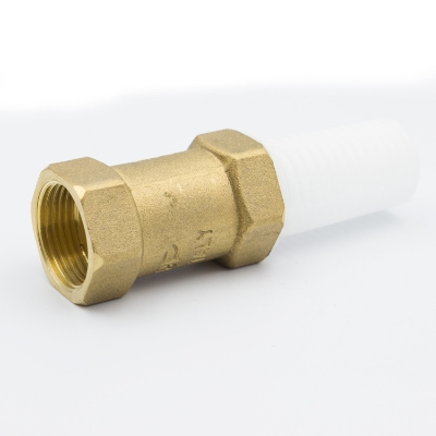 Picture of 3/4 inch Brass Vertical Foot Check Valve With Plastic Filter for Water Pump - Brass