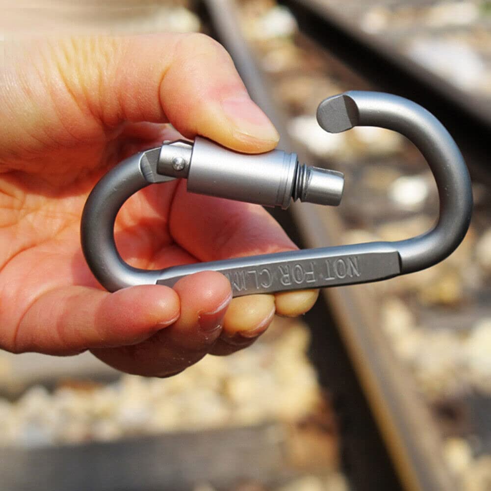 Picture of Aluminum D-Ring Clip Hook Keychain Screw Locking - Silver