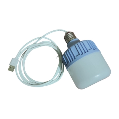 Picture of Usb Led Bulb Power bank Light  With Ware White