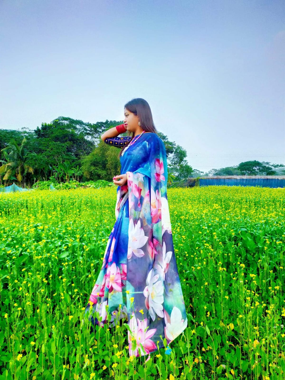 Picture of New Exclusive Design Blue Color Chandini  Soft Silk Digital Print Saree for women - Blue