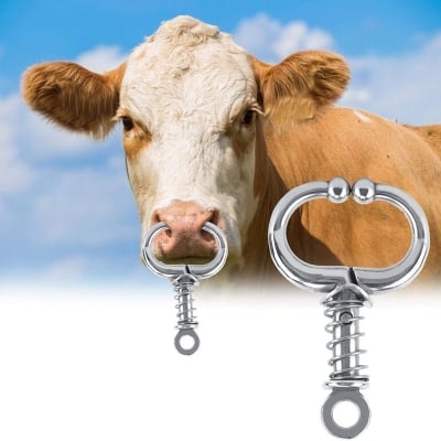 Picture of Spring BULL NOSE Holder -SELF LOCK