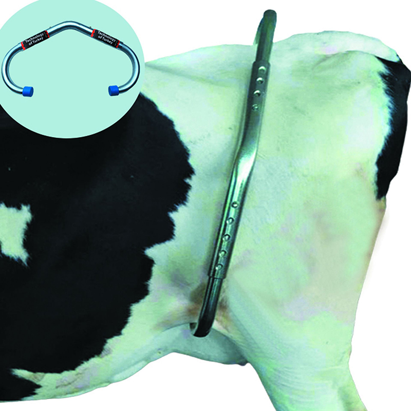 Picture of Anti Kick Lock for Cow