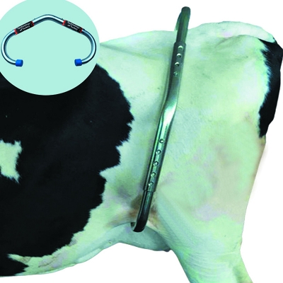 Picture of Anti Kick Lock for Cow