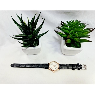 Picture of combo pack 3 pces CUTE FASHION STAR BELT LADIES WATCHES STARRY SKY WOMEN RETRO