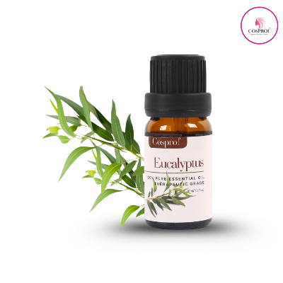 Picture of Cosprof Eucalyptus Essential Oil 10 ml