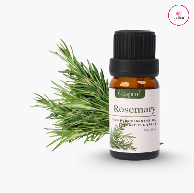 Picture of Cosprof Rosemary Essential Oil 10 ml
