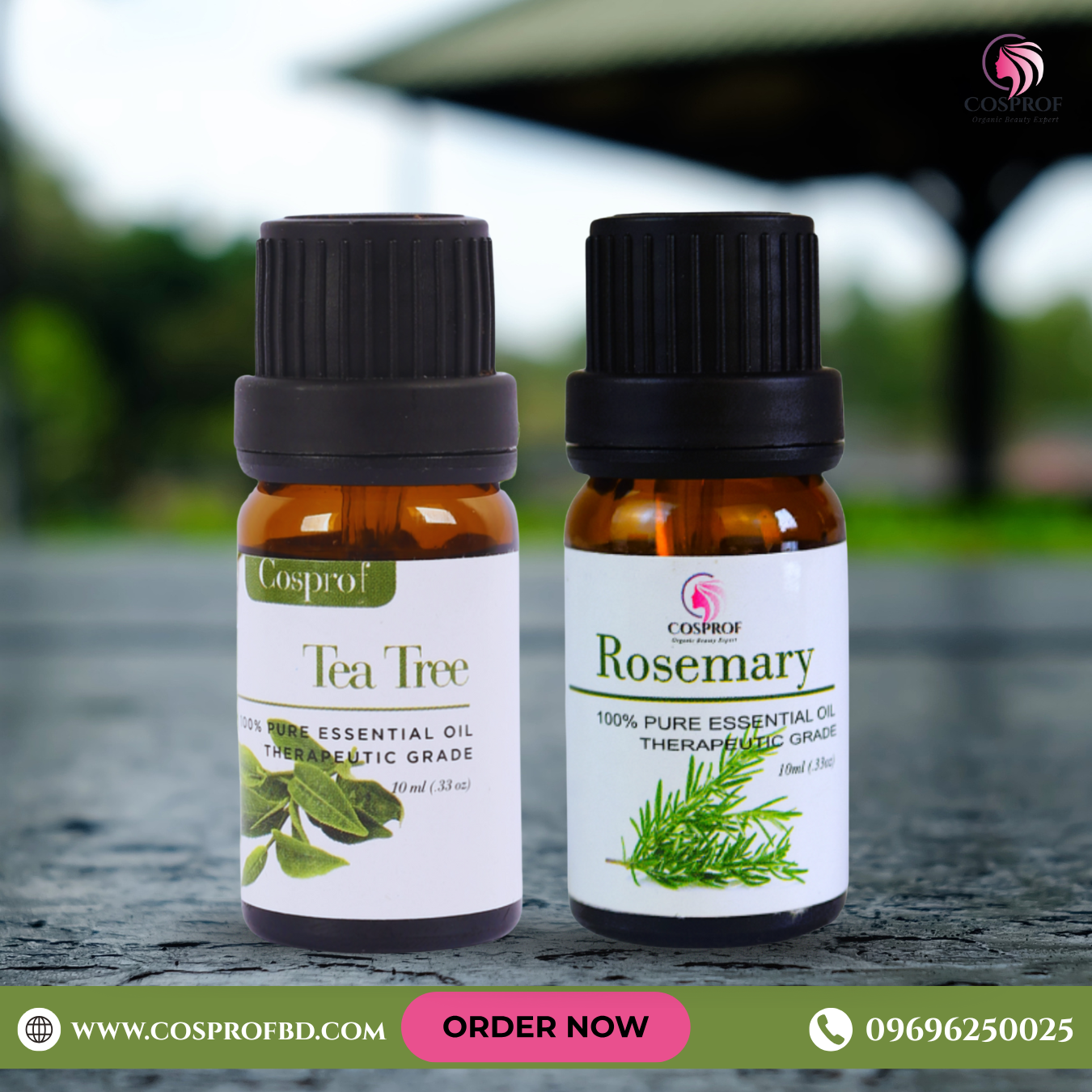 Picture of Cosprof Rosemary & Tea Tree Essential Oil Combo Pack Each 10ml