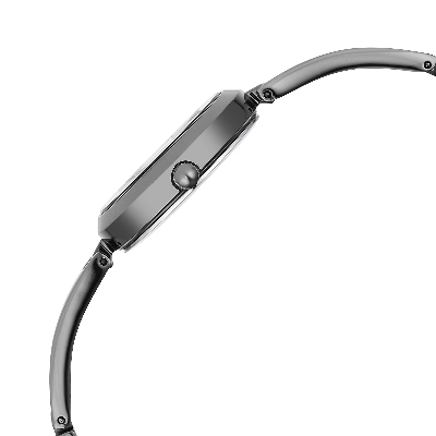 Picture of Titan Raga Viva Quartz Analog Black Dial Grey Metal Strap Watch for Women