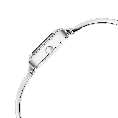 Picture of Titan Raga Square Analogue Watch for Women