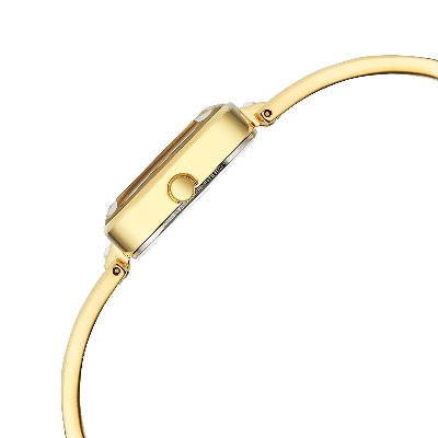 Picture of Titan Raga Square Analogue Watch for Women