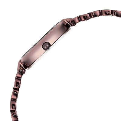Picture of Raga Delight Brown Dial Metals Strap Watch
