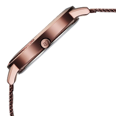 Picture of Titan Razzle Dazzle Quartz Analog Brown Dial Stainless Steel Mesh Strap Watch For Women